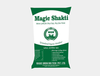 magic shakti