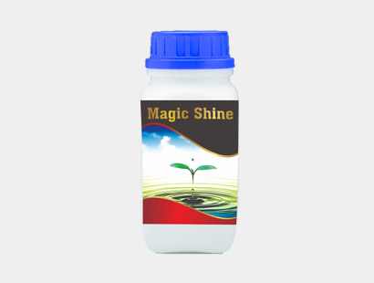 magic shine